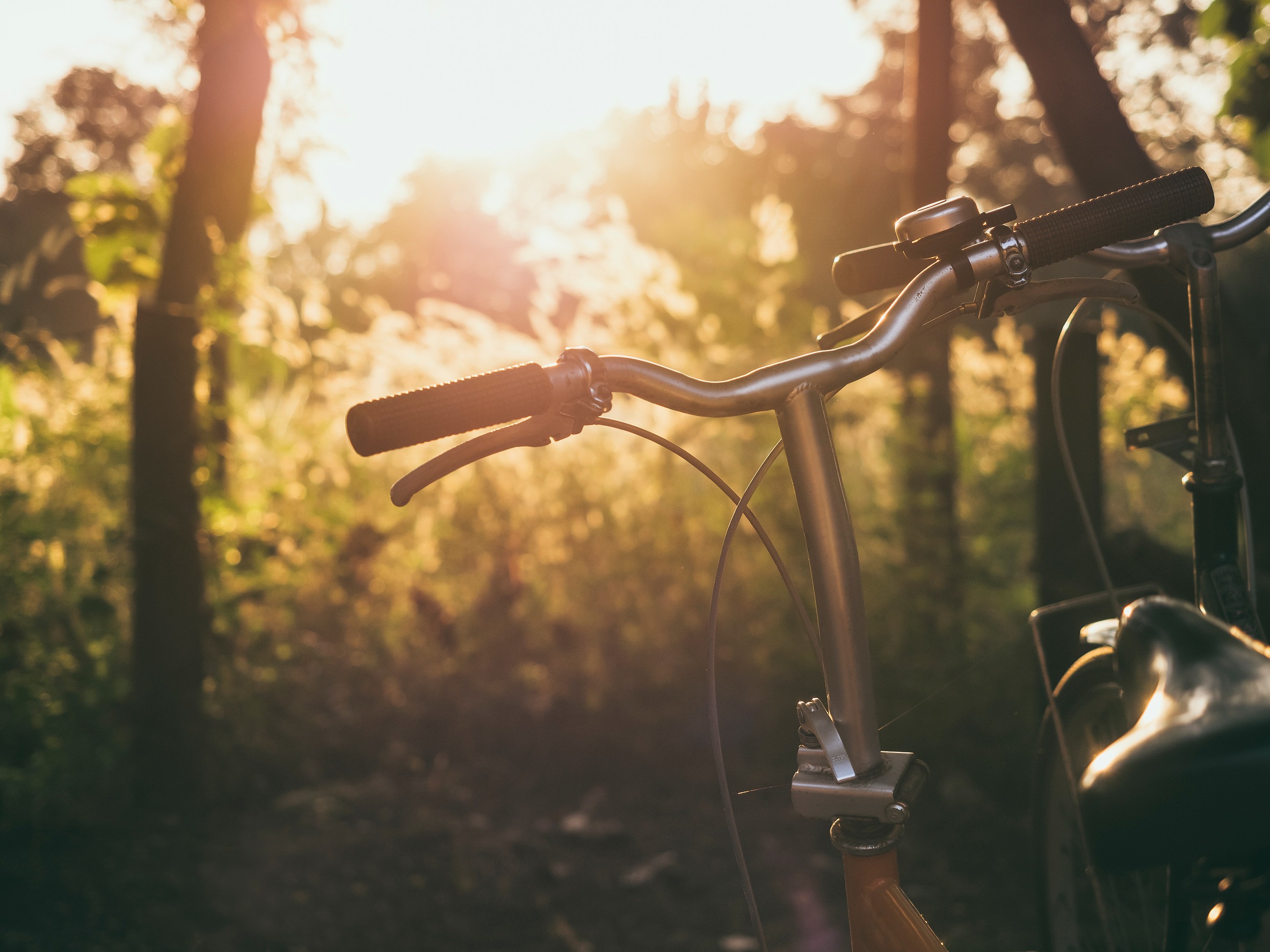 Bicycle hand Saddle Outdoor Summer meadows field sunrise Backgro