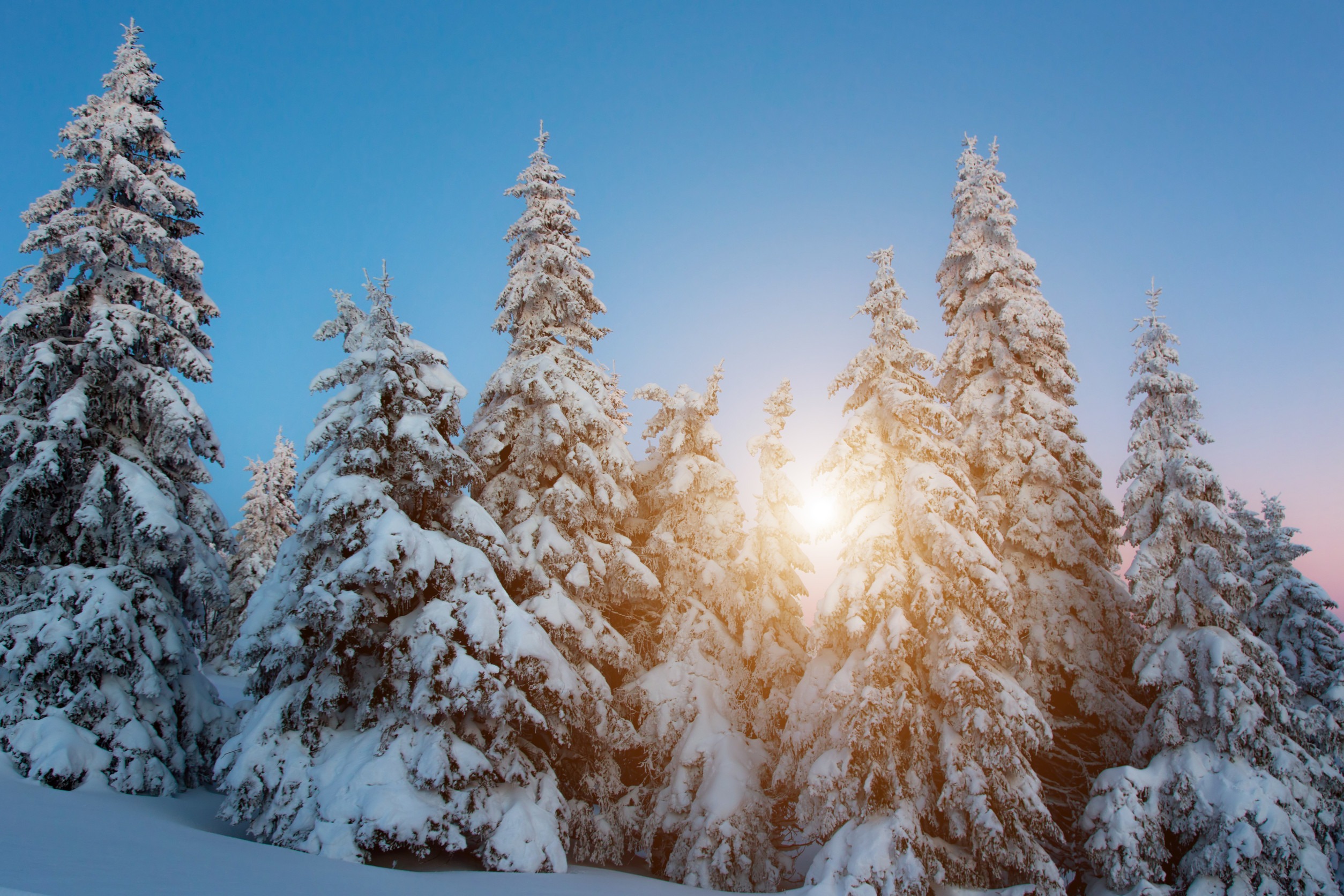 Winter sunset