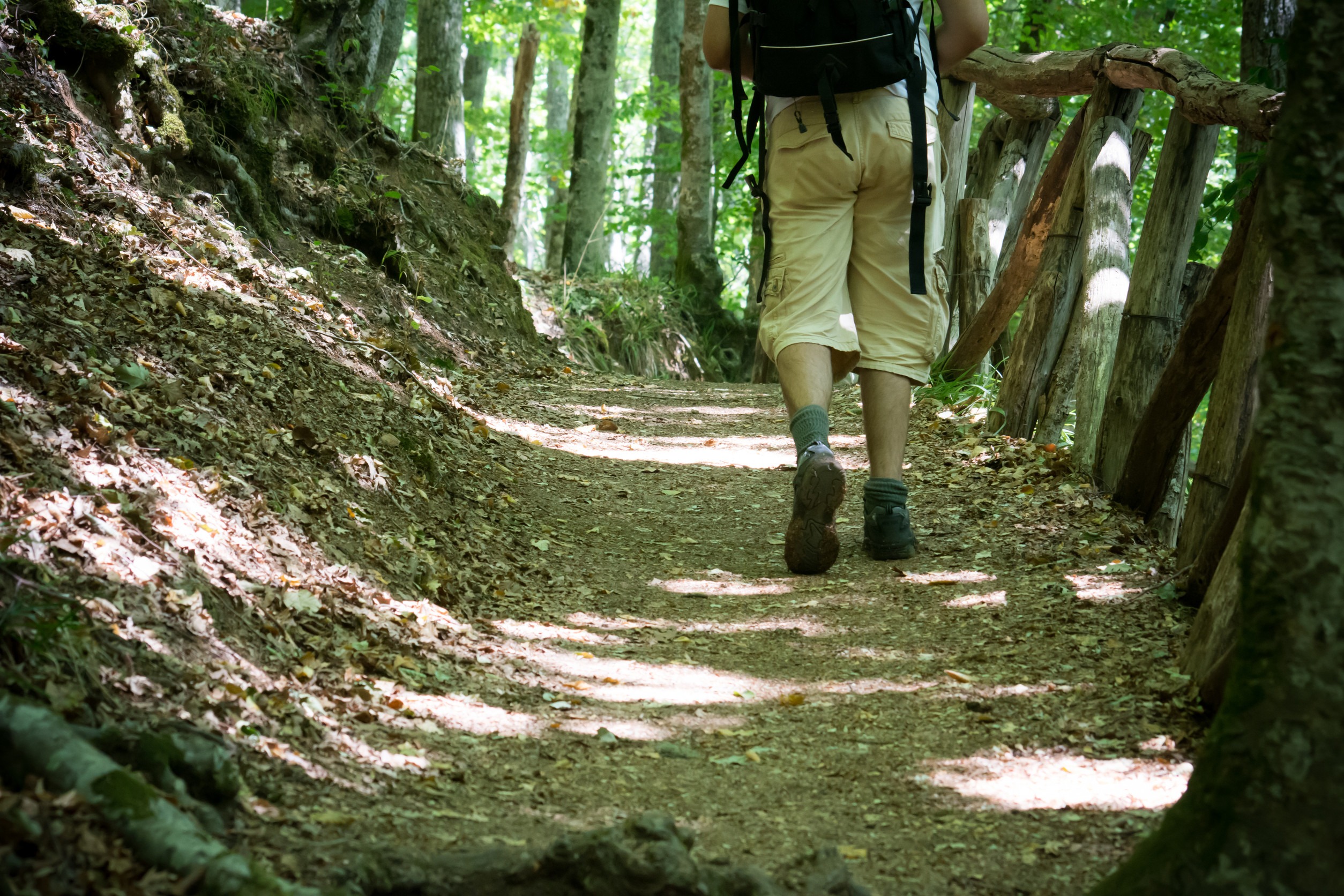 a man hicking in the woods