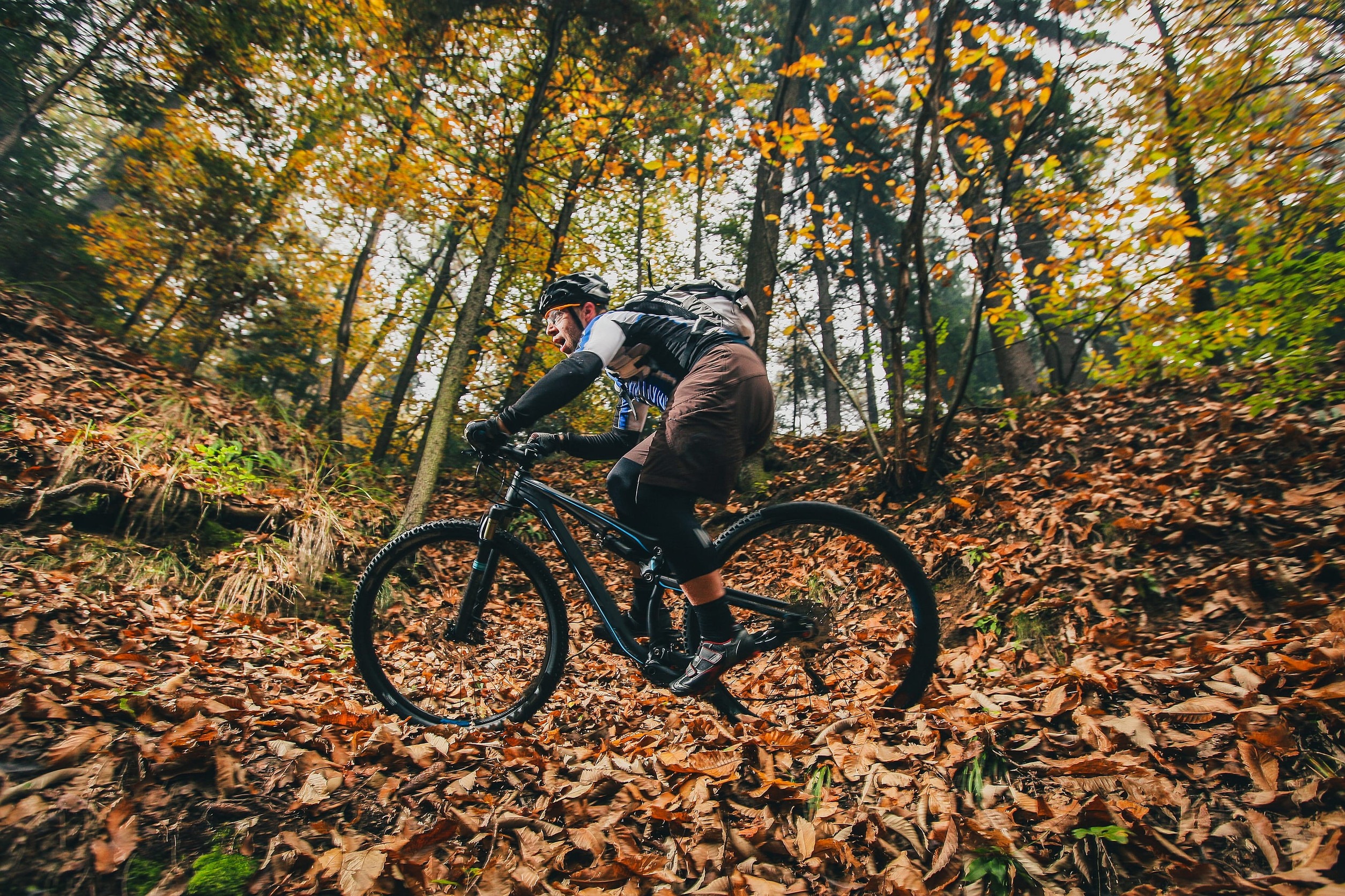Why Fall Mountain Biking in Cuyuna Is Worth Experiencing